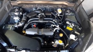 Subaru Forester (SJ FB25) холодный запуск