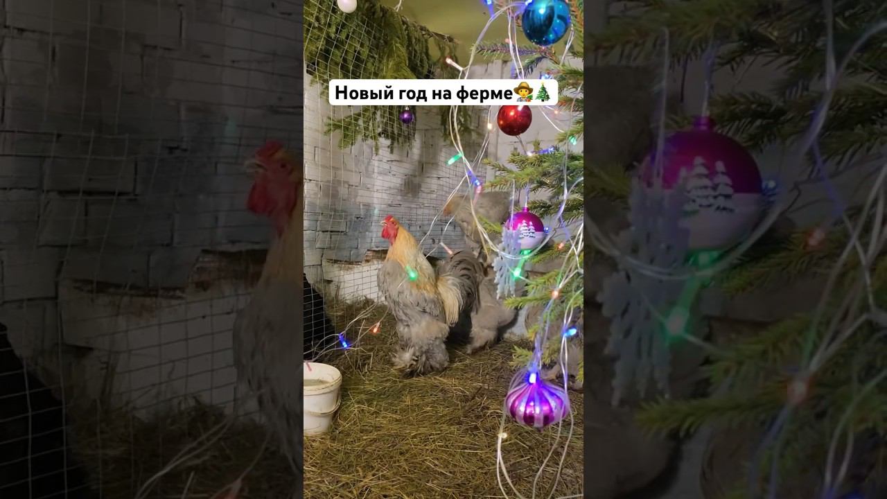 Готовы к Новому году ? смотреть онлайн