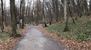 ВТОРОЙ ХОЛОДНЫЙ РОДНИК,ВПЕРВЫЕ НА ЭТОМ МЕСТЕ.