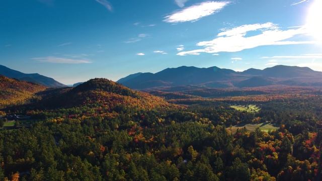 Врачи отдали мужу на руки умирающую от рака жену, а он бросил ее в лесу умирать! смотреть онлайн