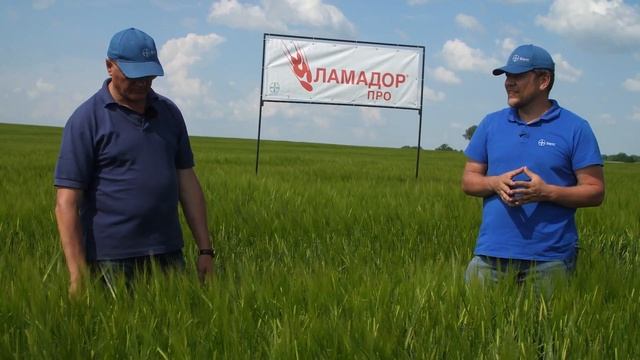 Яровой ячмень - как получить максимум выгоды? смотреть онлайн