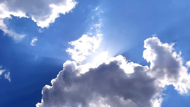 Воскресная школа_урок 5. Жизнь людей в раю. смотреть онлайн