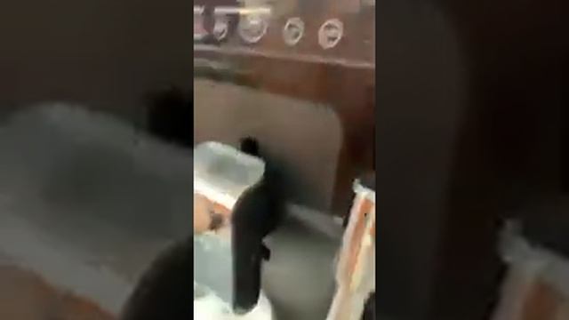 крупс 870 капучинатор