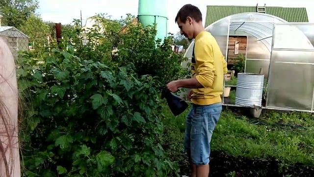 Наши выходные дни/дача/площадка) смотреть онлайн