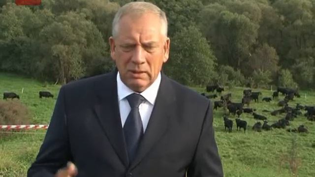 проект создания крупного сельхозпредприятия по мясному скотоводству смотреть онлайн