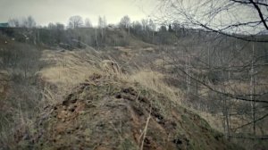 Глеб Корнилов - Бродячий пёс