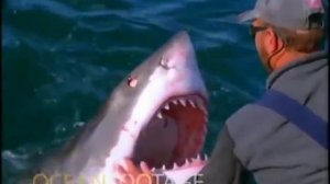 Опасные игры, видео про акул