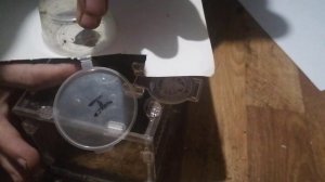 пересадка муринуса. (Безопасность главное).