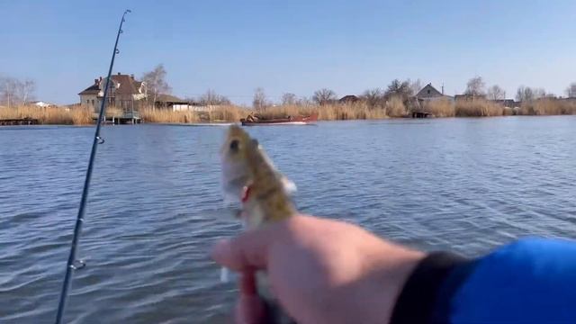 Закрытие сезона? карась сошёл с ума !!! #рыбалка #самара #днепр смотреть онлайн