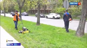 Покос травы во дворах: какие могут быть нарушения?