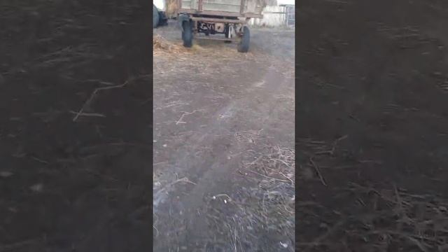 ТРАКТОР ЮМЗ ИЛИ ВЫГРУЗКА СЕНА смотреть онлайн