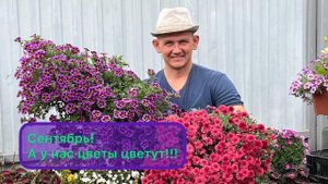 Цветочные композиции Осень 2022