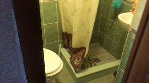 Esenin Hotel Resort SPA 2 звезды   спа отель Есенин   Лермонтово, Россия обзор отеля, территория, п