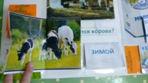 Лэпбук своими руками. Лэпбук "Корова".