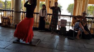 The art of flamenco, street peformance in  Sevilla