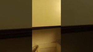 Рольставни для кухни | Alumdevelop