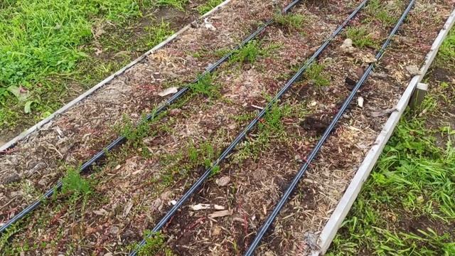 Клюква. Итоги сезон спустя смотреть онлайн