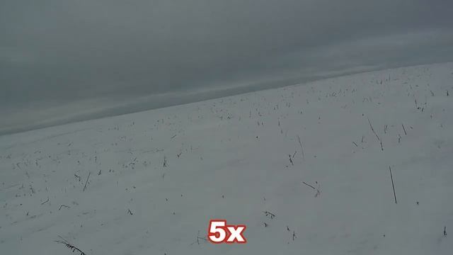 Охота на зайца 2022. ДВА ЗАЙЦА НЕ СХОДЯ С МЕСТА! ТАКОЕ БЫВАЕТ РАЗ В ЖИЗНИ! смотреть онлайн