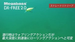 ТОПовые воблера из Японии. Экспресс обзор на Megabass, Gan Craft, Madness