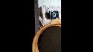 Замена масла в двигателе на автомобиле Toyota Fortuner 2019