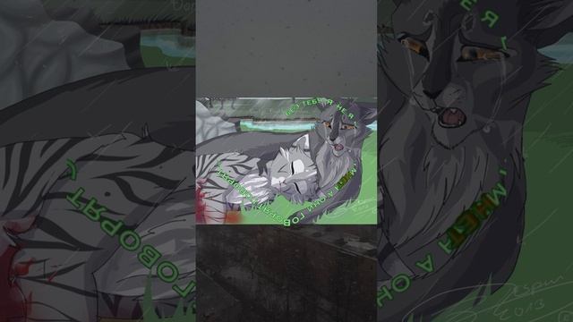 Серебрянка  и Крутобок коты воители.
