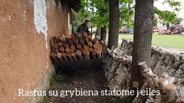 Shiitake grybų auginimas смотреть онлайн