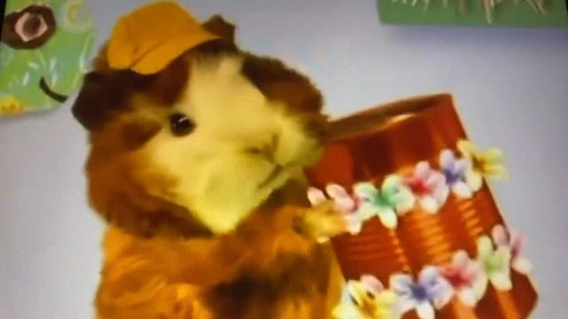 Wonder Pets Save The Turtle Promo!!