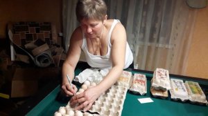 🌻ЯЙЦО от фермерского хоз. minka36. ru"Фокин и Ко"🌻2ч