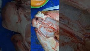 Разделка Черноморского ската