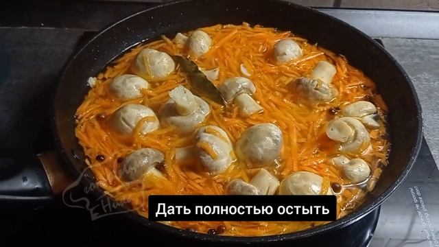 ПОКАЗЫВАЮ КАК ВКУСНО ПРИГОТОВИТЬ ГРИБЫ! смотреть онлайн