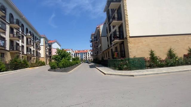 Влог/ лавандовое поле 🪻
