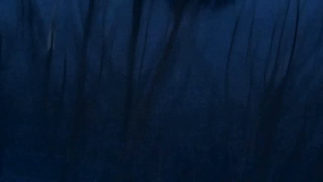 Как поймать судака и щуку ночью...смотреть всем доконса смотреть онлайн