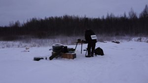 Стрельба из карабина Тигр 7.62х54R 50, 100 и 200 метров. 23 Декабря 2021. Результат.