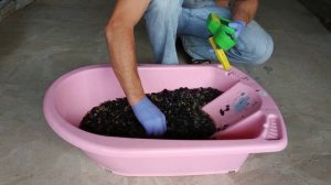 Быстрый и точный анализ сусла на сахаристость Brix% и кислотность Ph