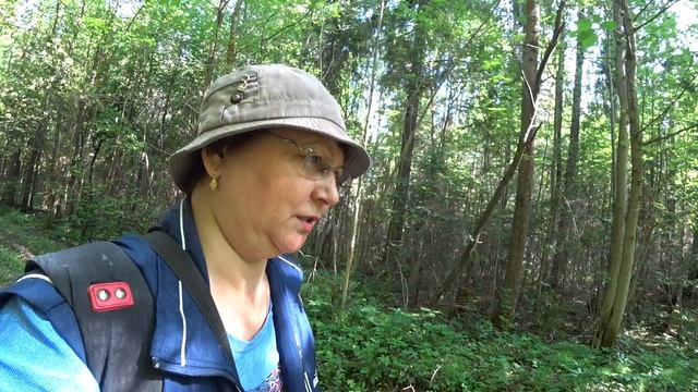 Поход в лес 6 июня 2023 1ч. смотреть онлайн