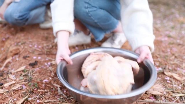 E53 Cooking firewood chicken under peach trees| Ms Yeah смотреть онлайн