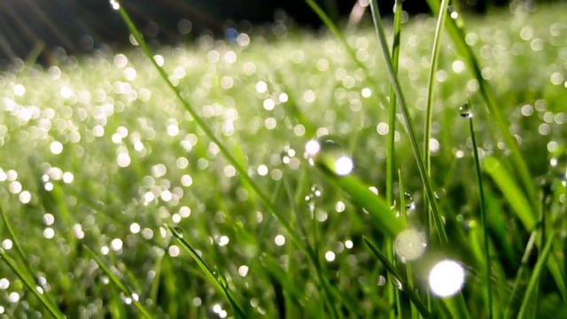 МОЯ ОТРАДА смотреть онлайн