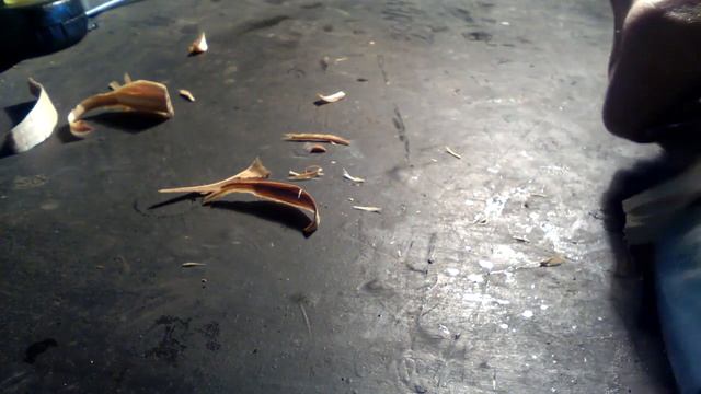 Китайский клон! смотреть онлайн