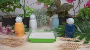 Проращиватель для семян и микрозелени | FIX PRICE