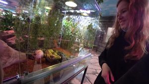 Питон съел непослушного мальчика в зоопарке