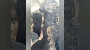 Строим склад под хранения зерна.  От А до Я