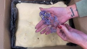 Секреты работы с эпоксидной смолой. Сушка сирени.