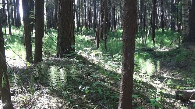 По тихому мою золото на минишлюзе!САМОРОДОК!!!