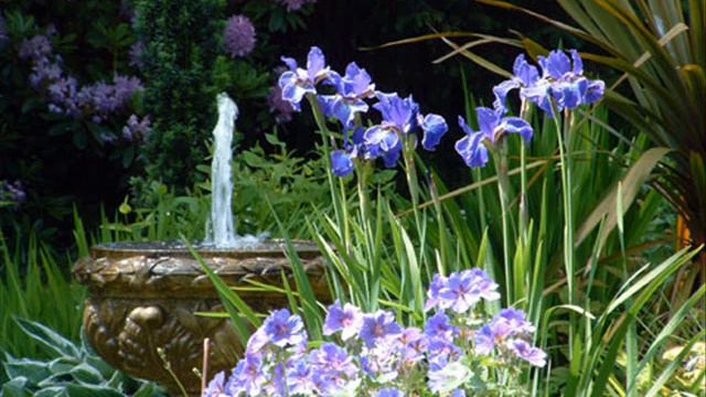 Summer Concerto (Violin Concerto Op.8 No.2, RV 315~ L'estate) in G minor by A. Vivaldi