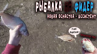 Рыбалка на Фидер - Прикормка РИС - НОВАЯ ОСНАСТКА АССИСТЕНТ - р.Белая