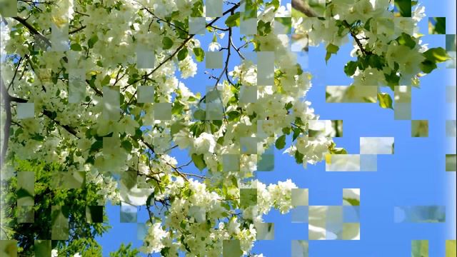 Купавы смотреть онлайн