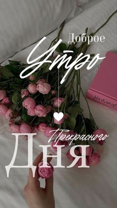 Минутки быстро пролетают,
За ними даже не успеть.
Я дня хорошего желаю,
Преграды все преодолеть.