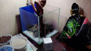 Запуск нано аквариума травника с нуля. Часть 1. Подготовка, создание хардскейпа.