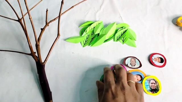 3D Family Tree/3D family tree/Family Tree School Project/Family Tree model/How to draw Family Tree/