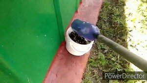 Плодосборник для черешни и вишни